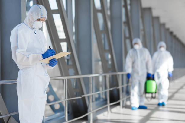 Best Mold Documentation for Insurance Claims  in Deale, MD