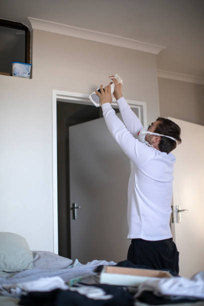 Best Basement Mold Removal  in Deale, MD