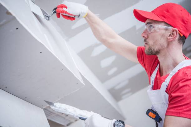 Reliable Deale, MD Mold Removal Solutions